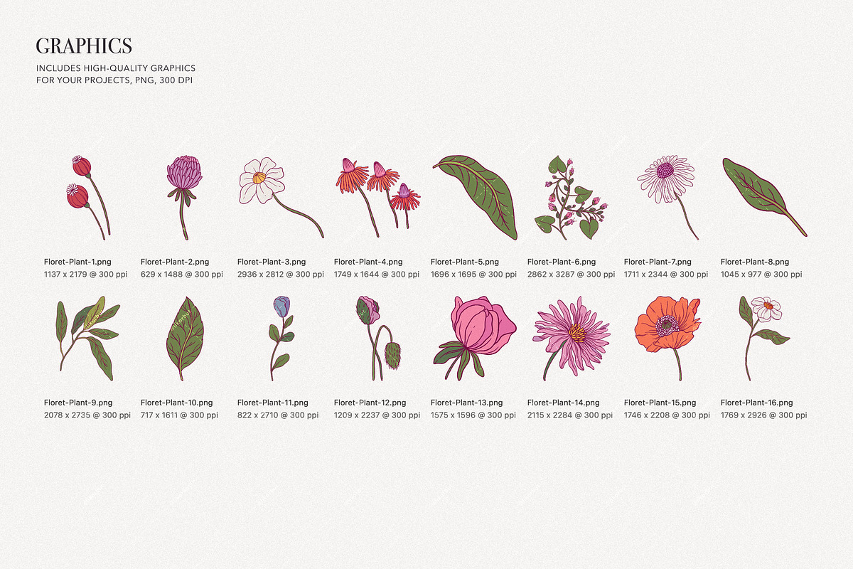 Elegant Floral Patterns: Botanical, a Pattern Graphic by likorbut (Photo 6 of 21)