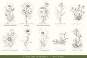 Botanical Floral Line Art Collection, a Decorative Illustration by AW Studios (Thumbnail 5 of 9)