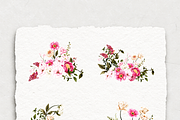 Magenta flowers -watercolor clipart, an Illustration by BlumenSoul (Thumbnail 2 of 8)