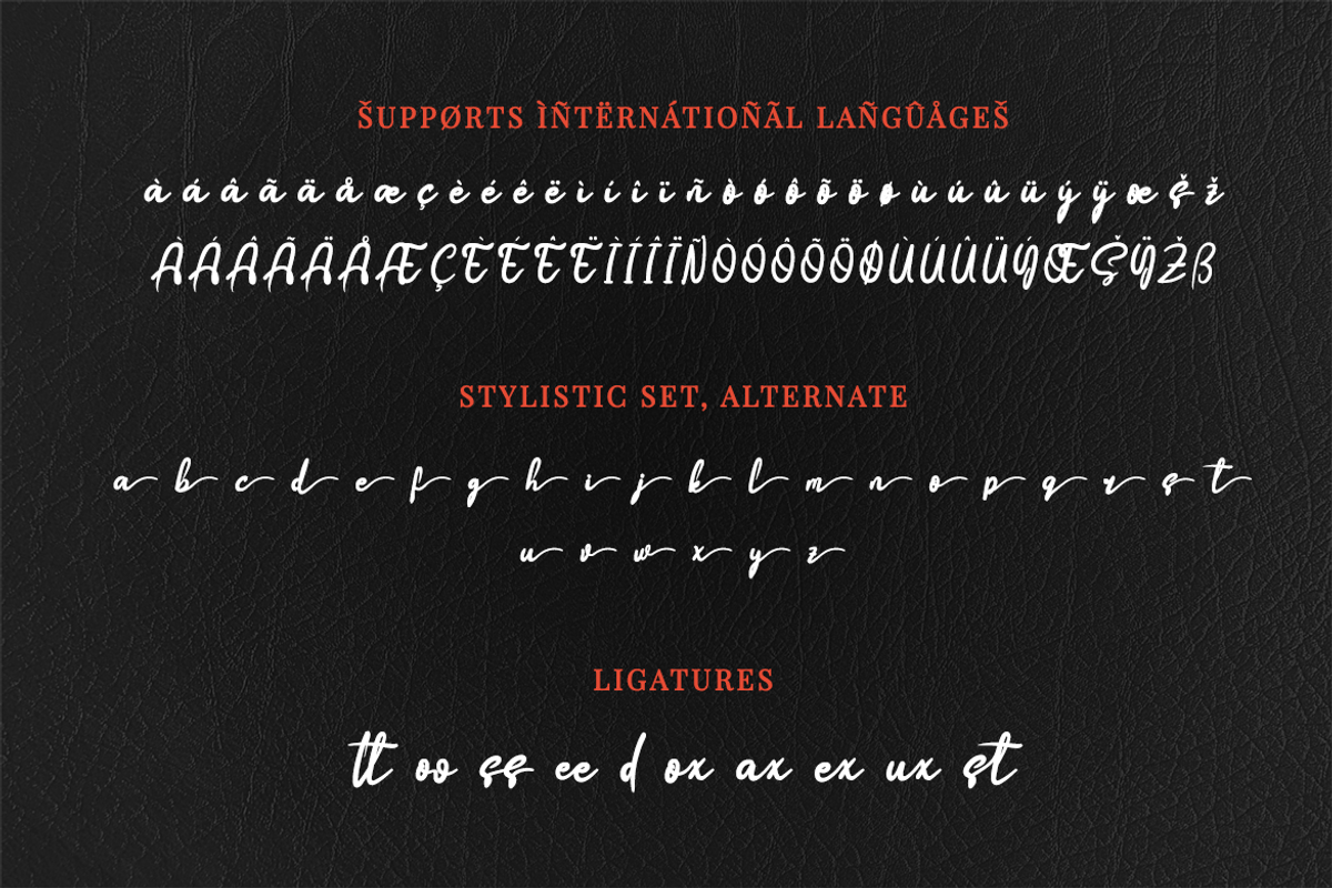 Boostnia, a Script Font by twinstd (Photo 14 of 16)