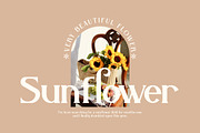 Belisha Modern Serif Font, a Serif Font by Storytype Studio (Thumbnail 3 of 15)