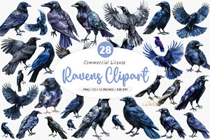 Watercolor Ravens Clipart, an Illustration by SinaCreation