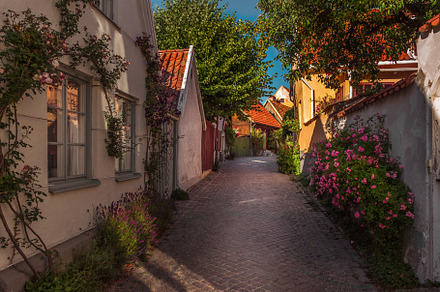 Street view of visby gotlandsweden stock photo containing summer and bush, an Architecture Photo by StripedNadin