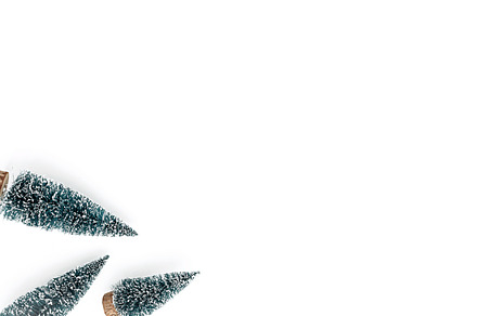 Christmas trees on white background