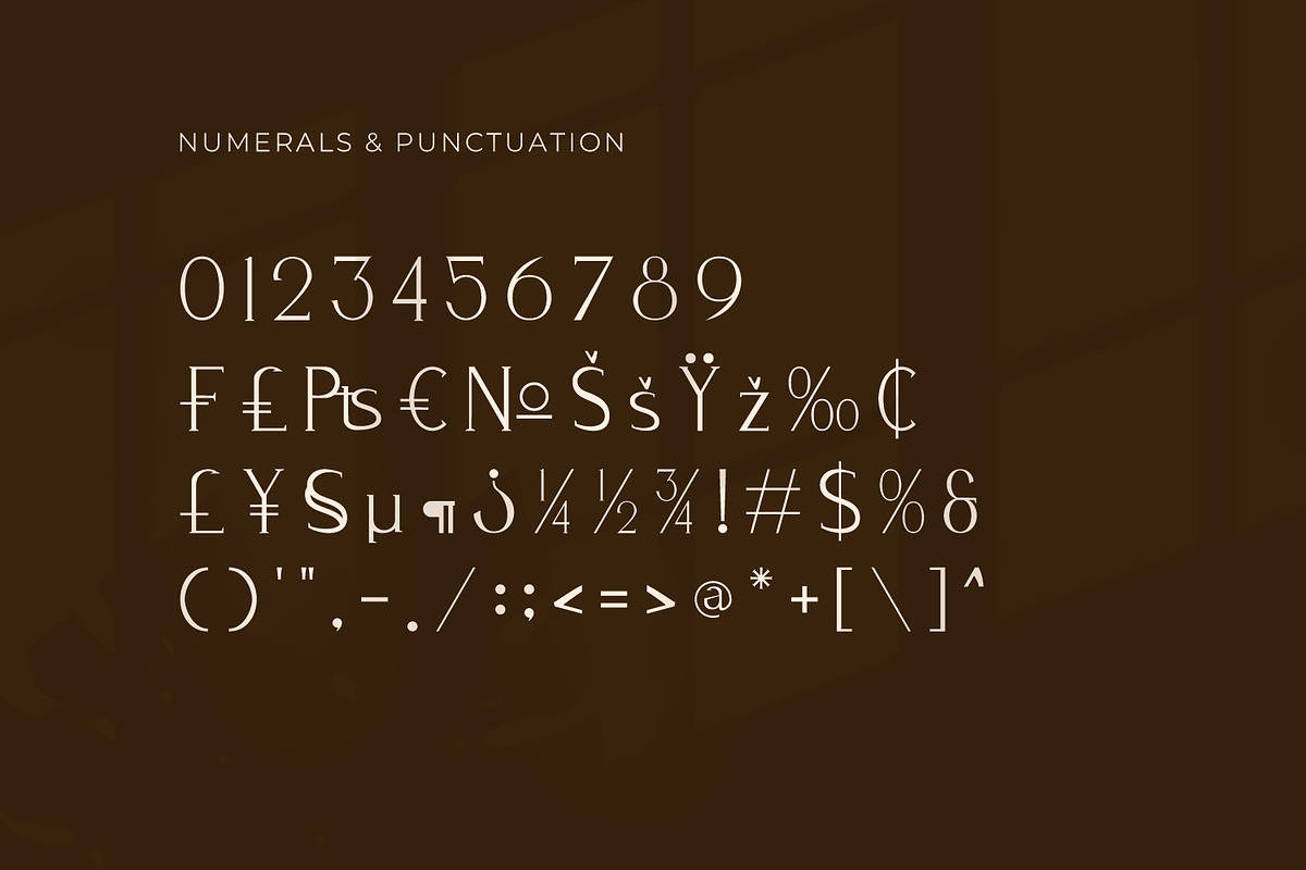 Bazena - Serif Typeface Font, a Serif Font by Rishsketch (Photo 13 of 15)