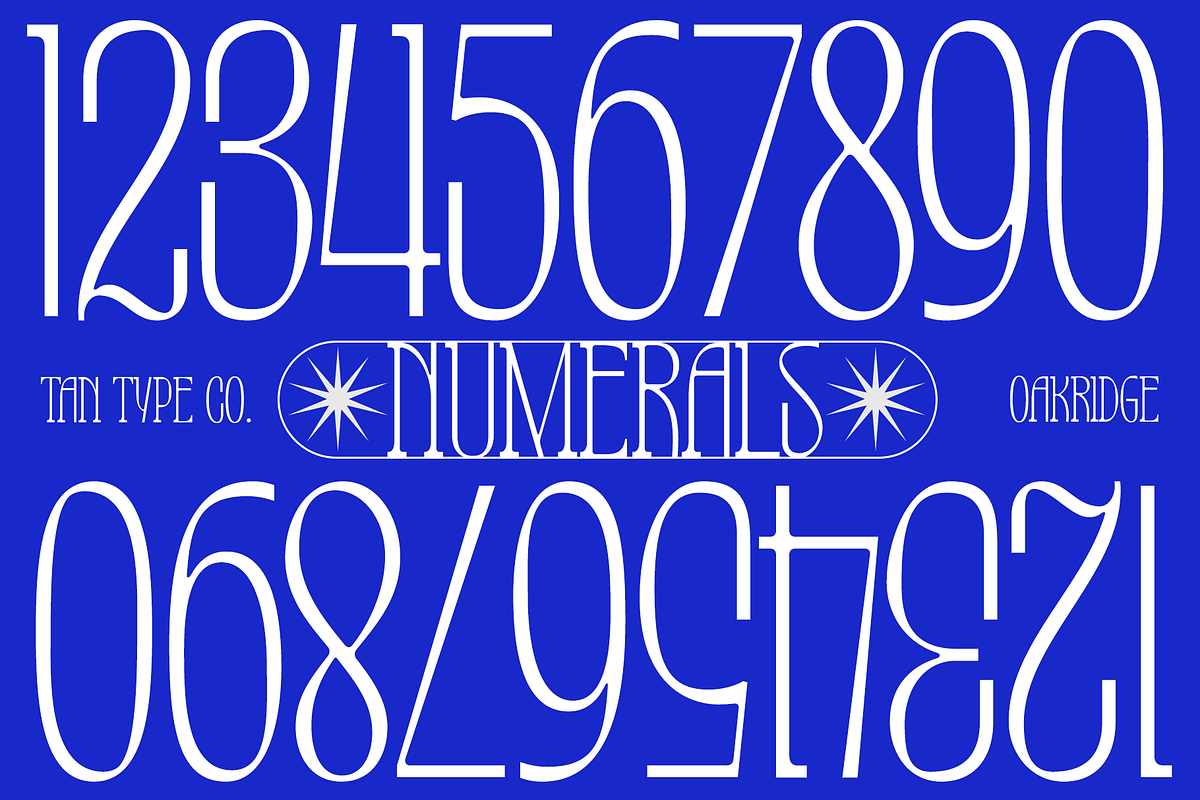 TAN-OAKRIDGE, a Sans Serif Font by TanType (Photo 10 of 10)