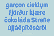 Ridge 5, a Font by Studio Dot by dot (Thumbnail 6 of 10)