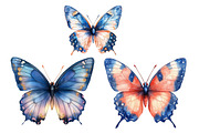 Blush and Blue  Butterflies clipart, an Illustration by Designworld (Thumbnail 4 of 5)