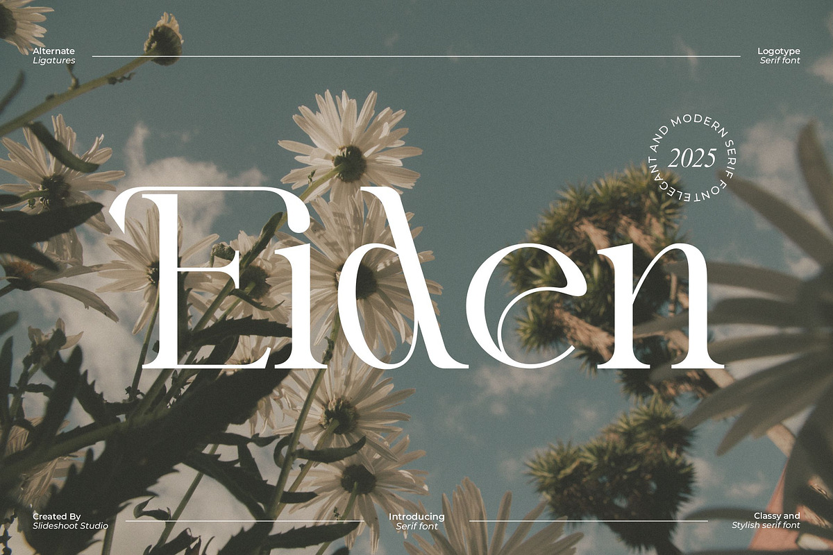 Eiden || Modern Serif Font, a Serif Font by Idea Studio (Photo 1 of 11)