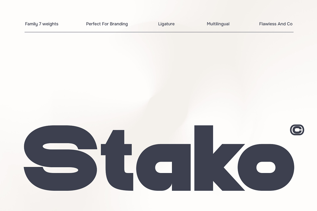 Stako - Modern Sans Serif Family, a Sans Serif Font by Flawless And Co (Photo 1 of 10)