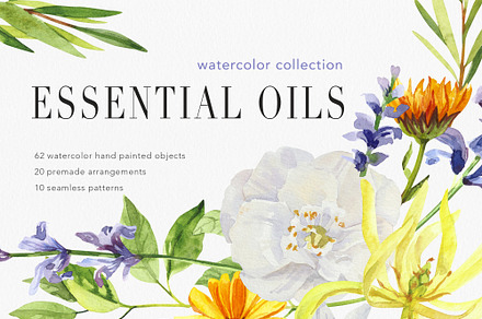 Essential Oils Botanical watercolor, a Healthcare Illustration by Volha Studio