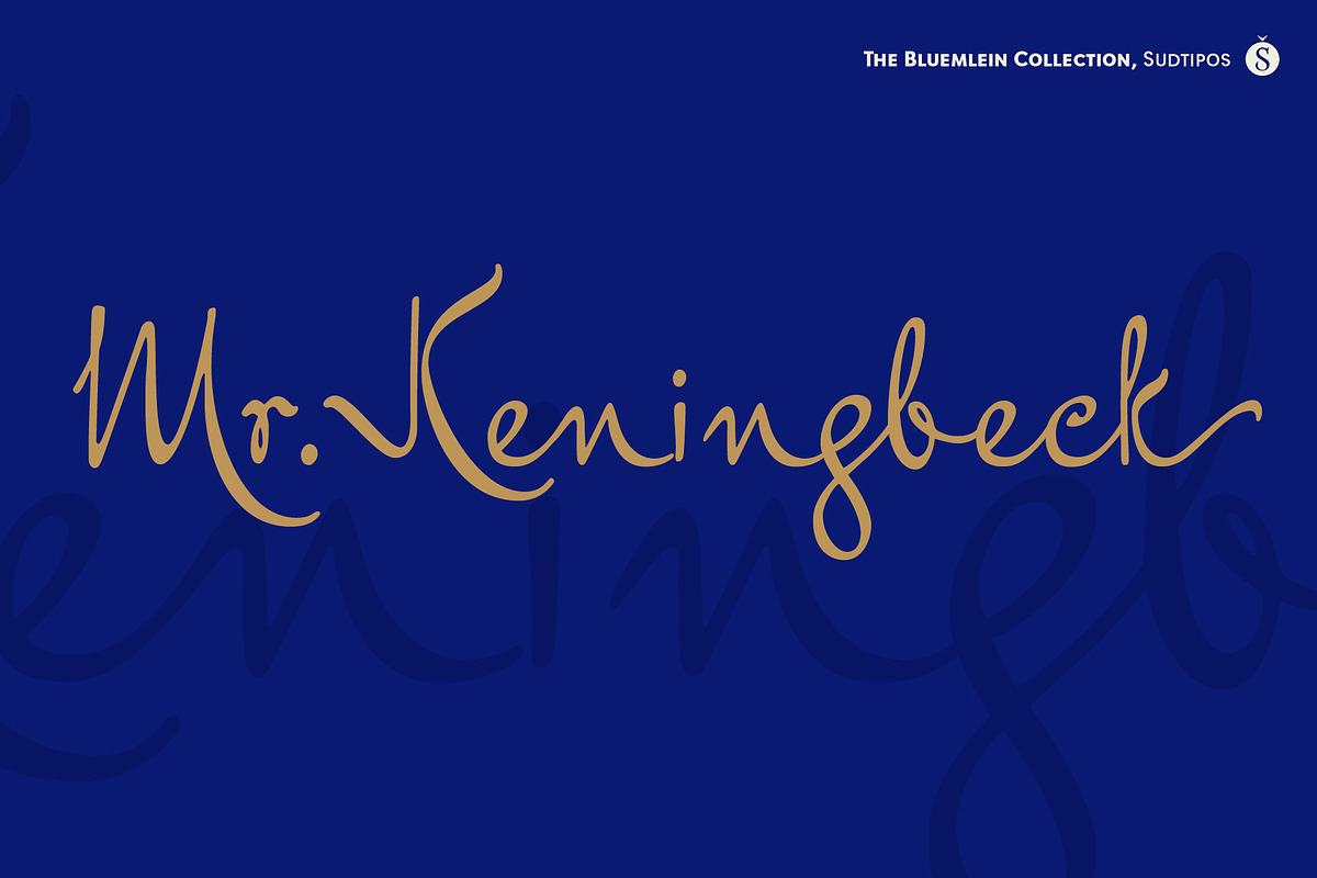 Mr Keningbeck Pro