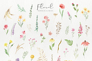 Watercolor Wildflowers Graphic Set, a Graphic by LarysaZabrotskaya (Thumbnail 9 of 11)