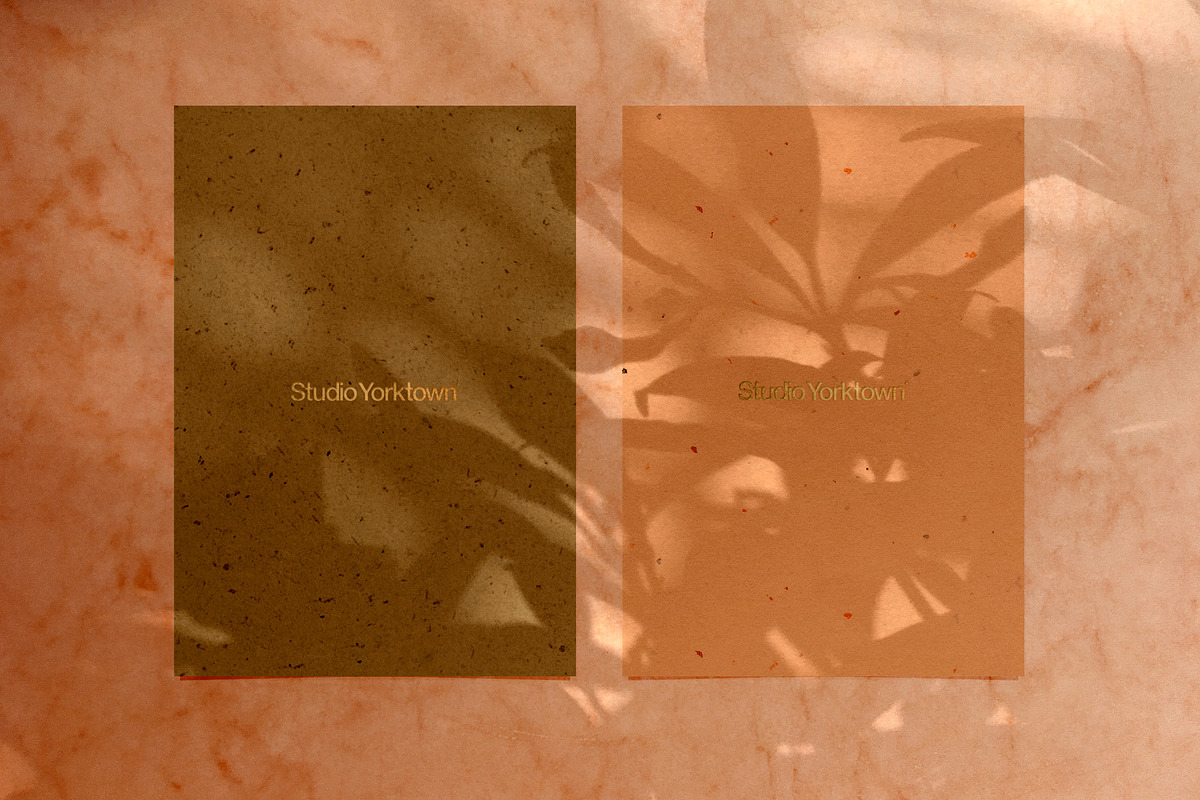 Madara - Botanical Shadow Overlays, a Texture Graphic by Studio Yorktown (Photo 12 of 17)