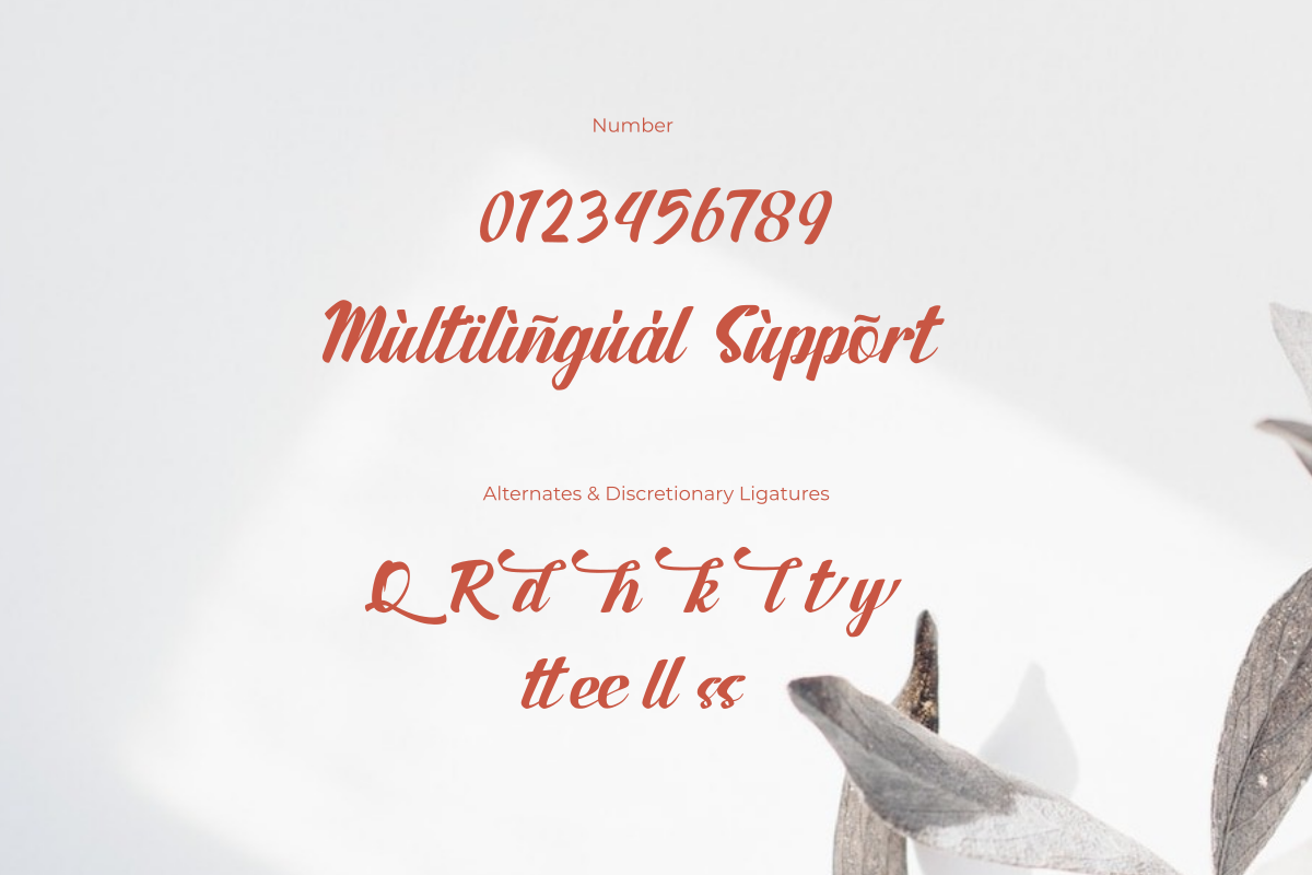 Bilbone, a Script Font by Zafiratype (Photo 6 of 8)