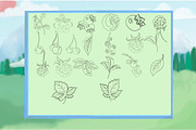 Woodland Animals Digital Stamps, a Graphic by Favorites_Art (Thumbnail 7 of 17)