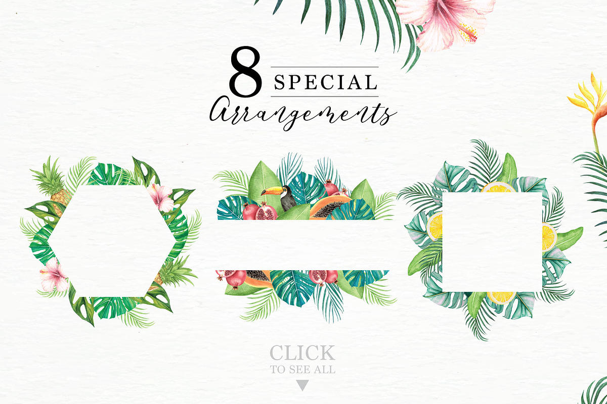 Tropical Collection, a Decorative Illustration by endita (Photo 5 of 14)