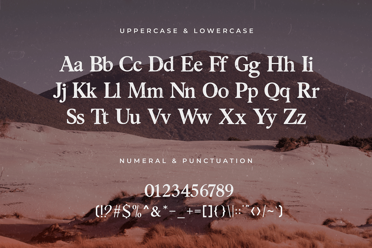 Anarcopy – Modern Trash Serif Font, a Serif Font by overlaytemplates (Photo 4 of 5)
