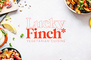 Bastia | A modern serif & bonus sans, a Serif Font by Jen Wagner Co (Thumbnail 4 of 13)