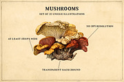 Antique mushrooms clipart set, a Food Illustration by YesFoxy (Thumbnail 2 of 3)