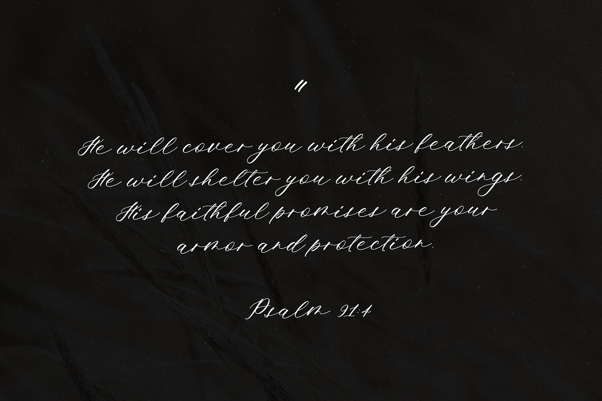 Ms. Augustine  Calligraphy Font, a Script Font by Calamar Studio (Photo 5 of 15)