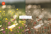 5 Ivory Lightroom Presets, a Preset Add-On by SHOOM HOUSE (Thumbnail 9 of 10)