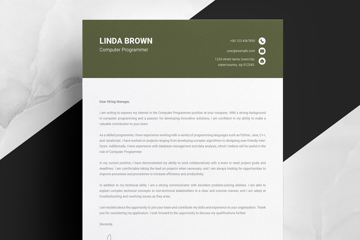 Computer Programmer CV Design, a Resume Template by ResumeInventor (Photo 3 of 6)