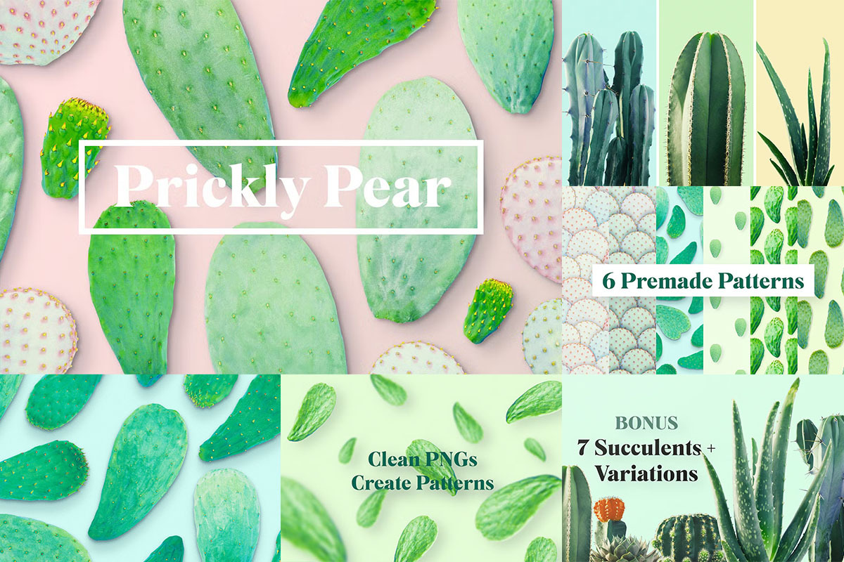 Complete Design Asset Pack Full Shop, a Texture Graphic by Fox & Bear (Photo 8 of 14)