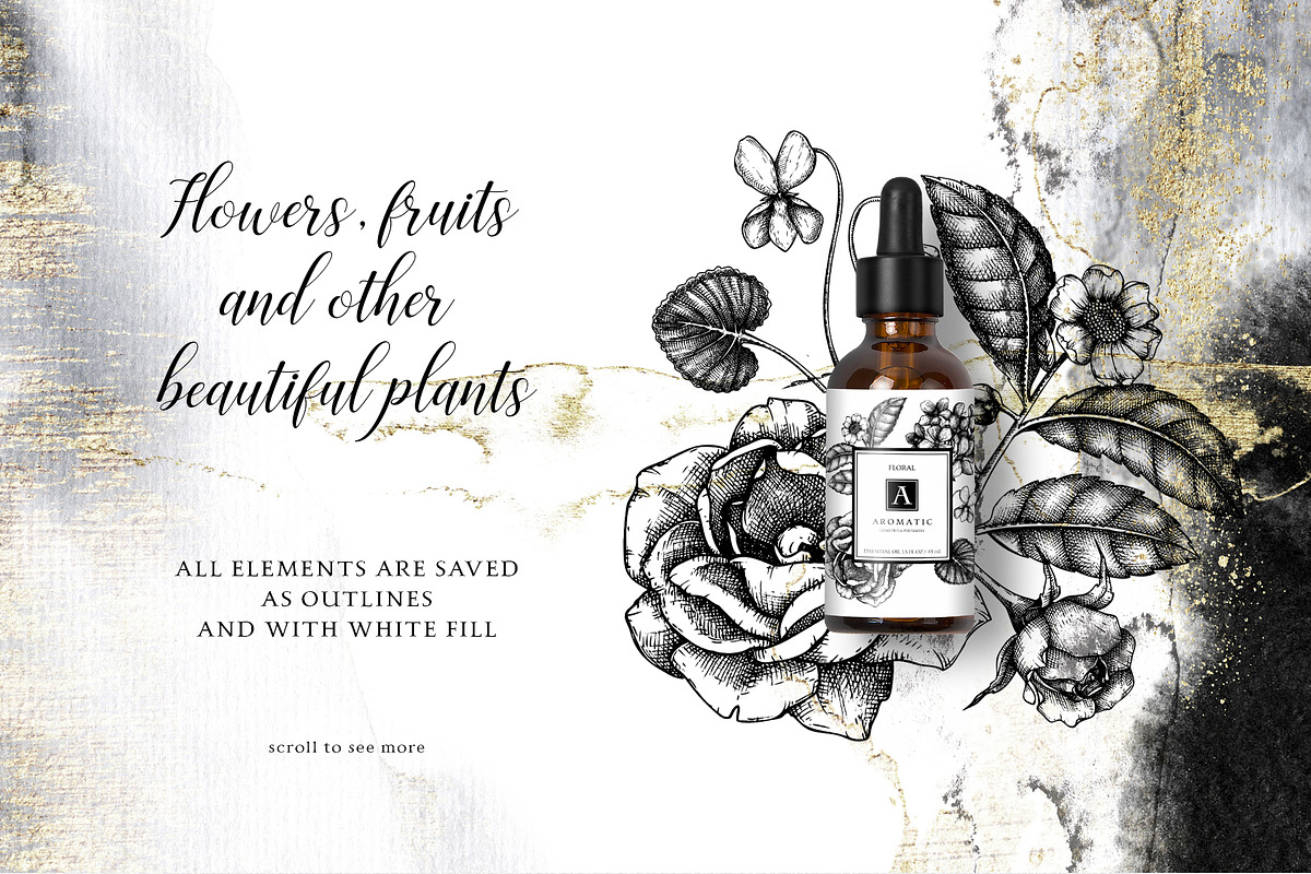 Floral Aromatic Vector Illustrations, an Object Graphic by Yevheniia (Photo 4 of 7)