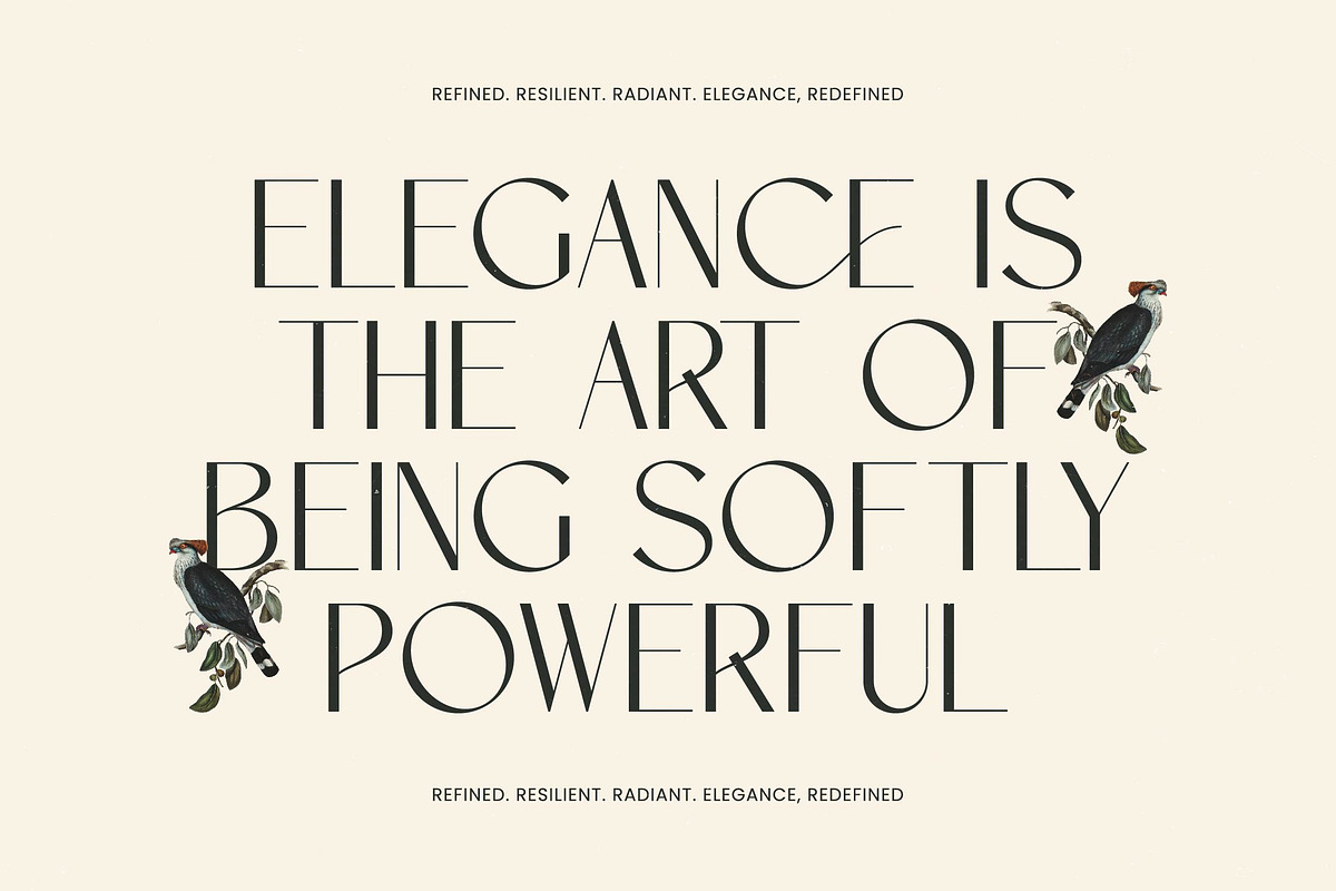 Amira Monte Elegant Display Font, a Sans Serif Font by timelesstype.co (Photo 12 of 20)