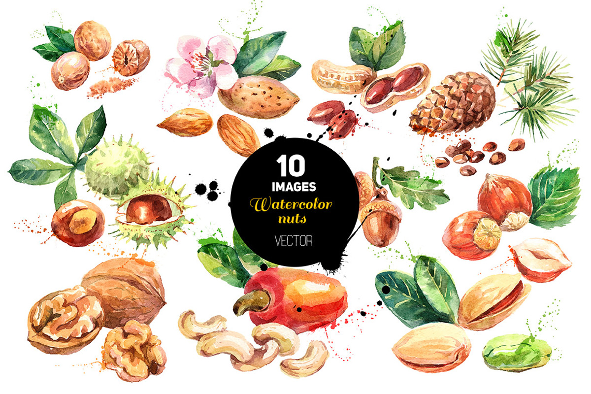 Watercolor Bundle Vector Set, a Food Illustration by Elena Pimonova (Photo 6 of 13)