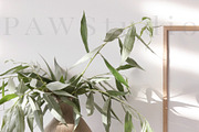 Video Photo Frame Mockup 3x4 MP4, a Product Mockup by PawMockups (Thumbnail 2 of 9)