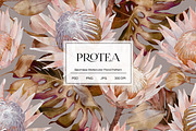 Protea Watercolor Floral Pattern, a Graphic by PROTEA Watercolor Studio (Thumbnail 1 of 10)