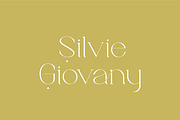 Brillant - Stylish Ligature Serif, a Serif Font by suhadidesign (Thumbnail 5 of 10)