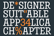 Birdwood; Condensed Slab Serif, a Slab Serif Font by Eko Bimantara (Thumbnail 3 of 13)