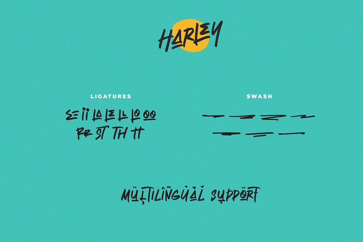 Harley - Stylish Brush, a Script Font by ARSAVISUAL (Photo 9 of 9)