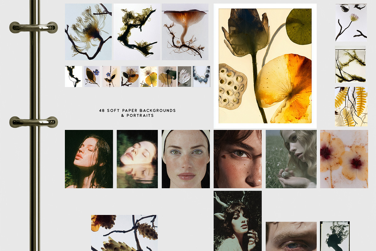 Botanical & Nature Collage Kit, an Object Graphic by Purple (Photo 8 of 11)