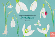 Watercolor Wedding Snowdrops, an Illustration by LittleAcornGraphics (Thumbnail 4 of 7)