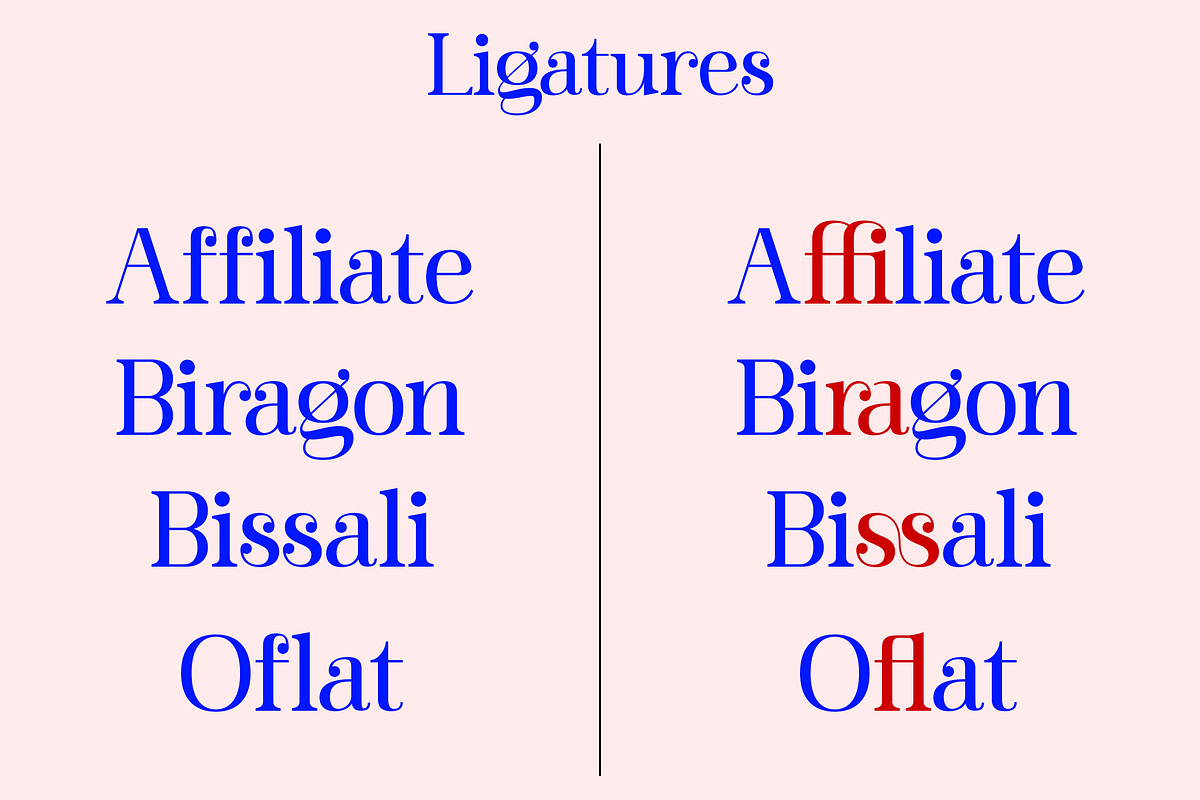 Barfiola Typeface, a Serif Font by MJtypefoundry (Photo 6 of 14)
