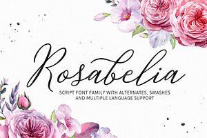 Rosabelia - Script & Sans Serif, a Script Font by Solidtype
