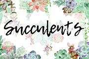 Watercolor Succulents, an Illustration by MariePierLaf (Thumbnail 1 of 3)