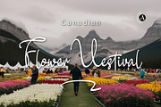 Special Regards Signature Fonts, a Script Font by Attractype (Thumbnail 3 of 8)