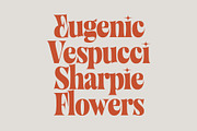 Balide - Display Serif, a Serif Font by Adam Fathony (Thumbnail 16 of 17)