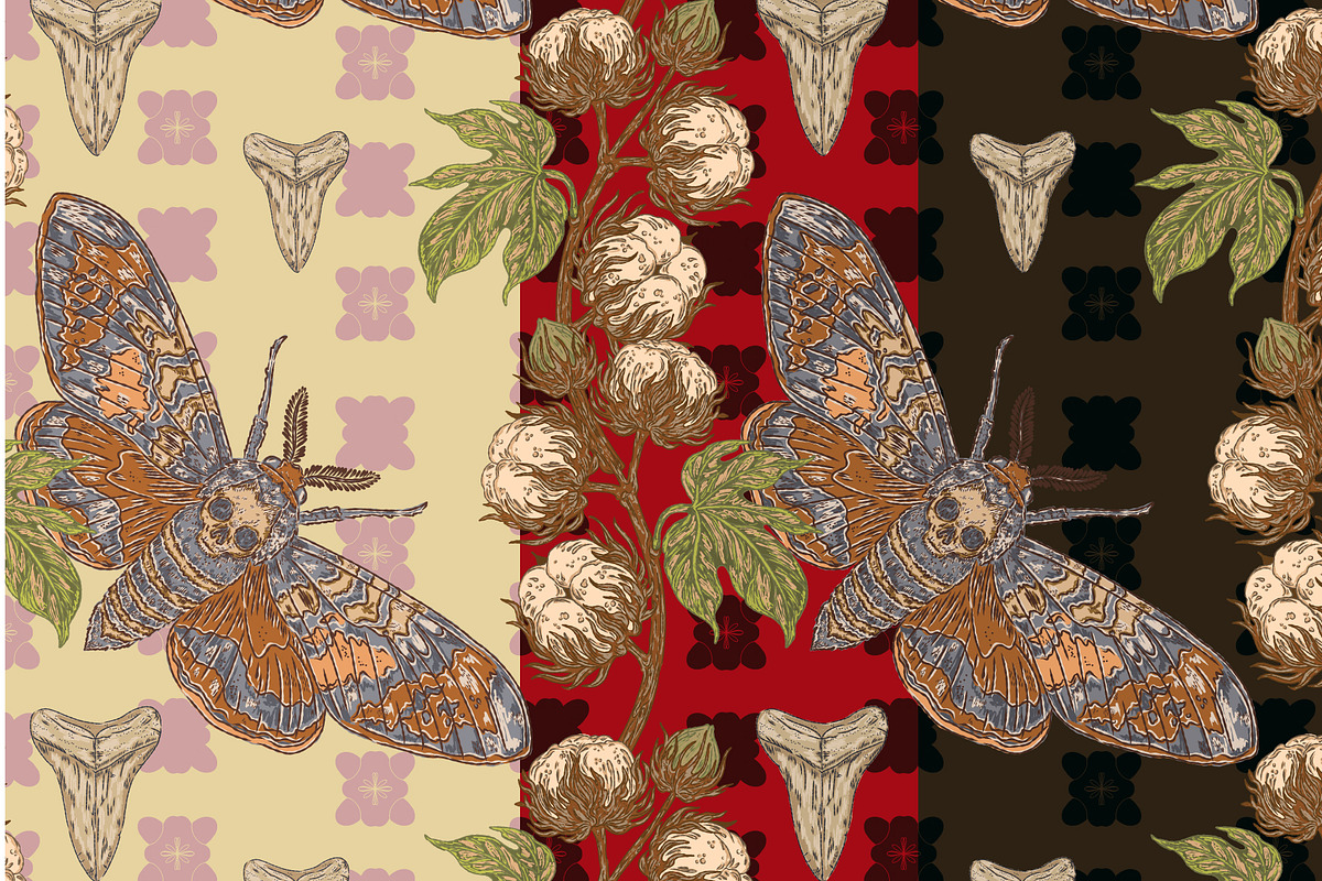 Hawk Moth, Cotton and Shark Tooth, a Pattern Graphic by NayaChu (Photo 5 of 10)