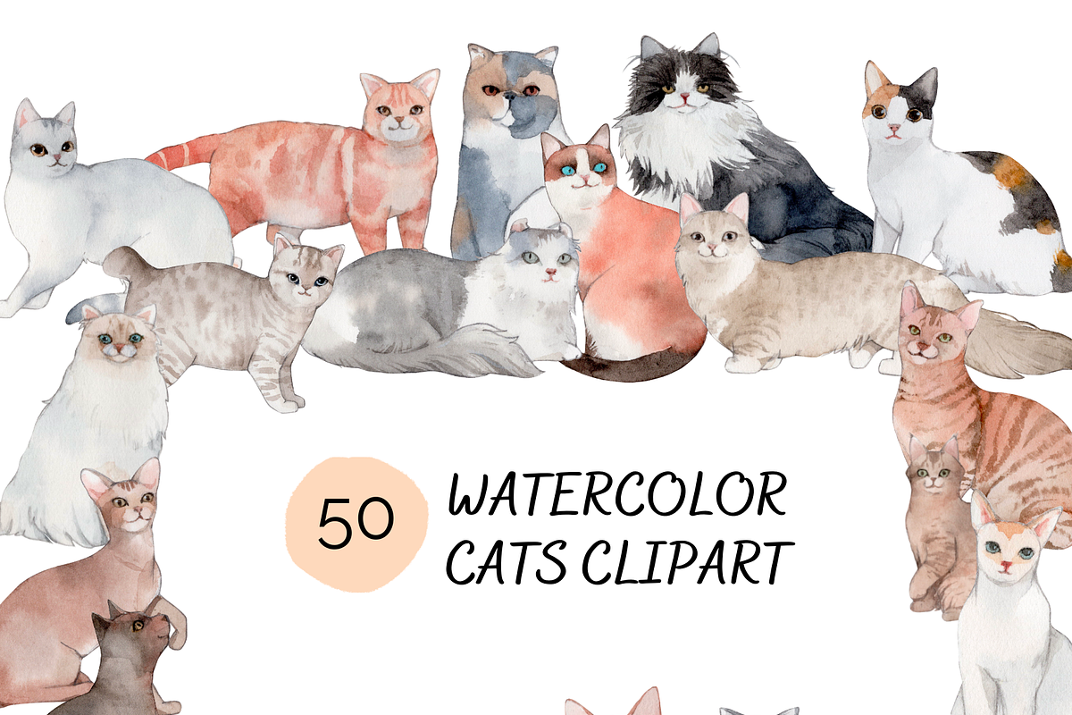 50 Hand-drawn Watercolor Cats, an Animal Illustration by ArtbyHien (Photo 1 of 7)