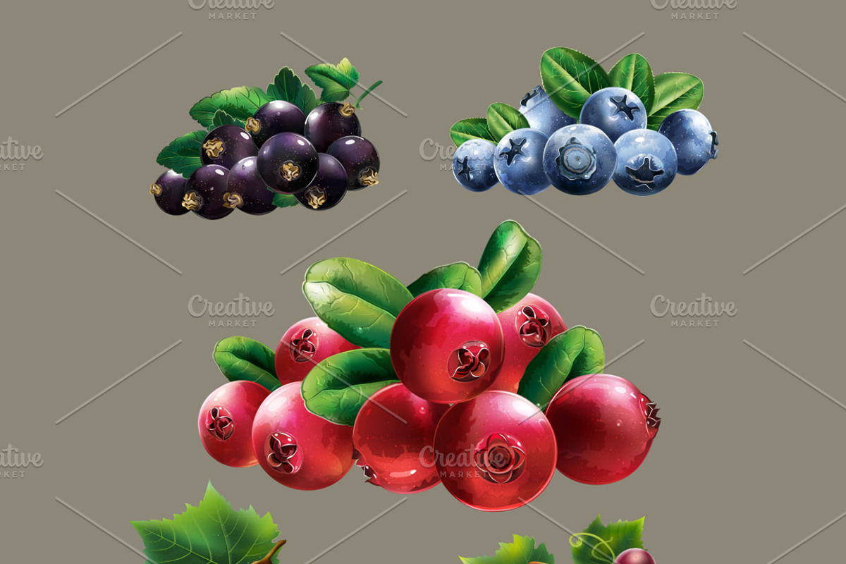 82 Fruits, Berries and Vegetables, an Object Graphic by ConceptCafe (Photo 3 of 6)