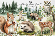 Watercolor Green Forest Clipart, an Illustration by Dream Creation (Thumbnail 1 of 8)