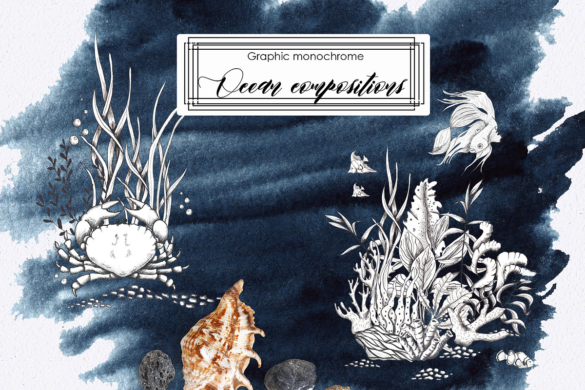 Ocean & sea underwater life, an Object Graphic by Ana-Sakuta (Photo 9 of 18)