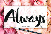 Always Brush Font, a Script Font by fairytale (Thumbnail 1 of 5)