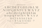 Awaken - Casual Serif Font, a Serif Font by StringLabs (Thumbnail 10 of 11)